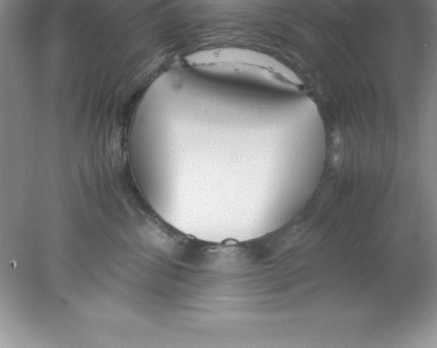 X0000078020428200611251534
