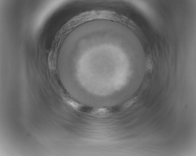 X0000078020431200611251534