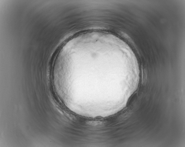 X0000078020435200611251534