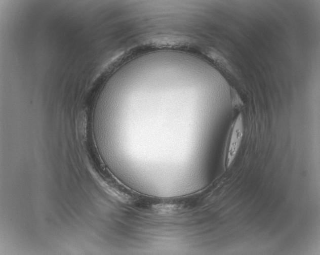 X0000078020448200611251534