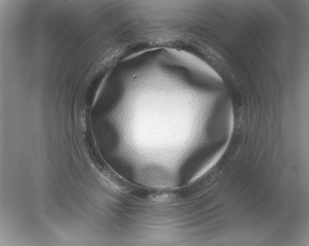 X0000078020452200611251534