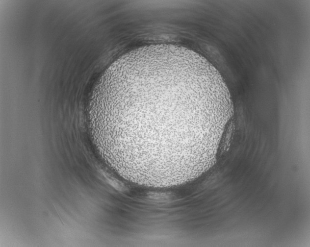 X0000078020457200611251534
