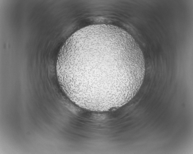 X0000078020469200611251534