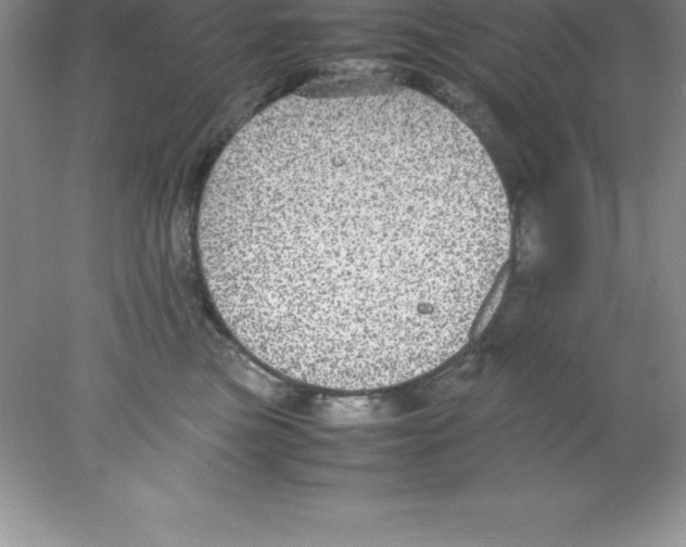 X0000078020473200611251534