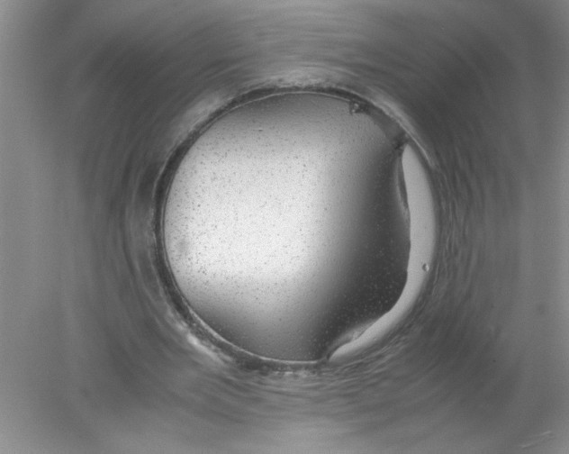 X0000078020485200611251533