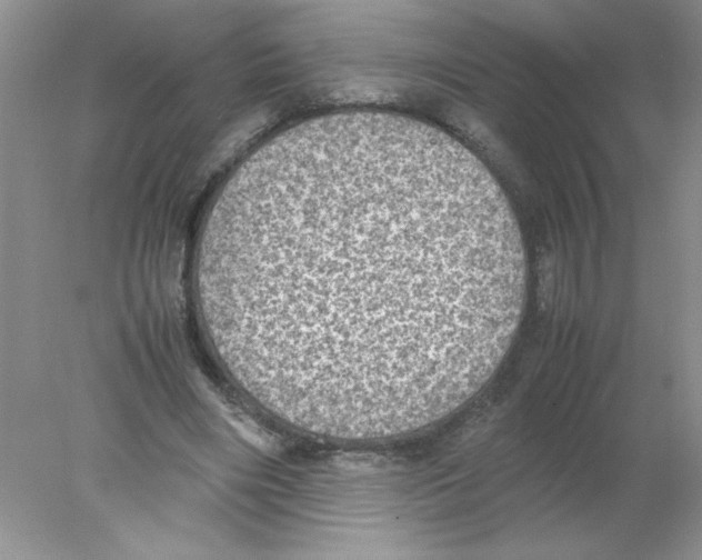 X0000078020490200611251533