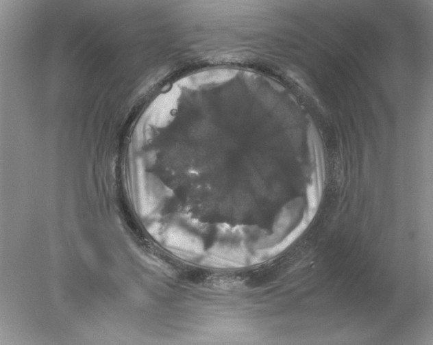 X0000078020491200611251533
