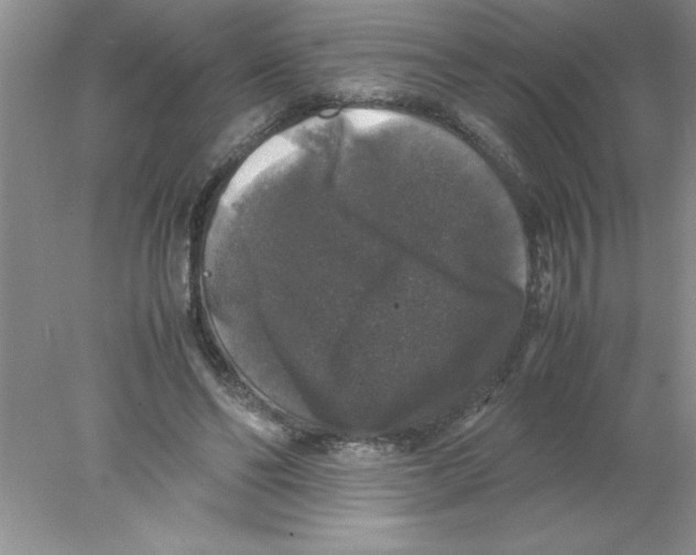 X0000078020494200611251533