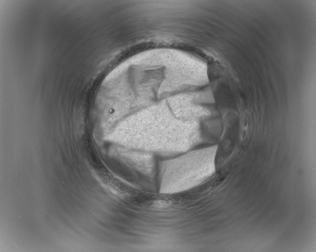 X0000078020496200611251533