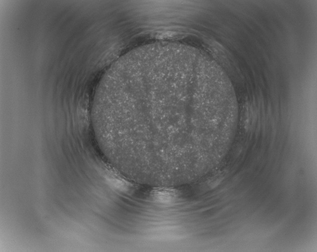 X0000078020510200611251533