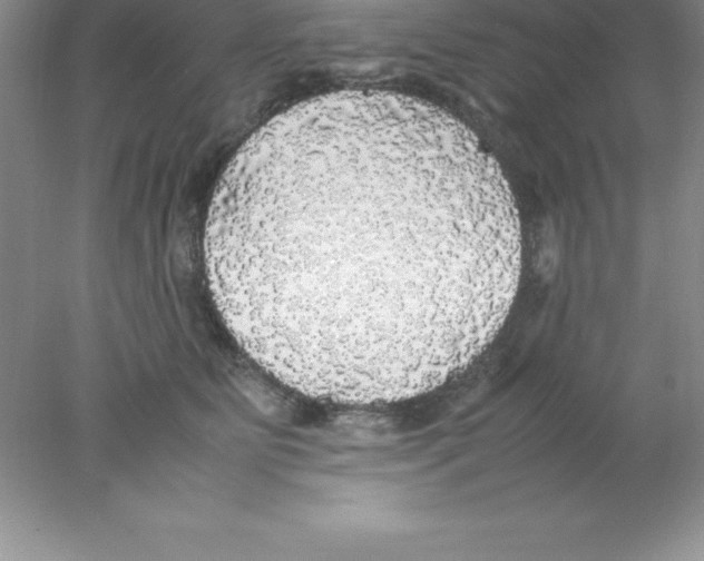 X0000078020515200611251533