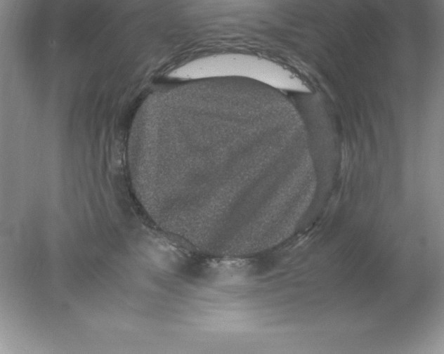 X0000078020517200611251533