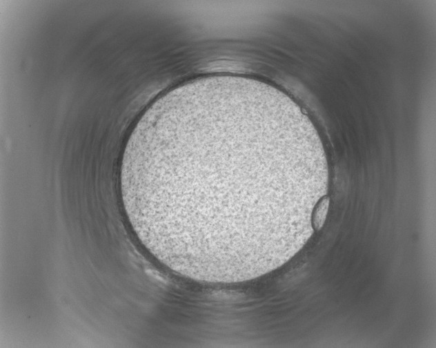 X0000078020529200611251532