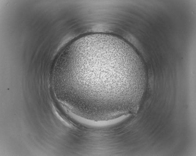 X0000078020530200611251532