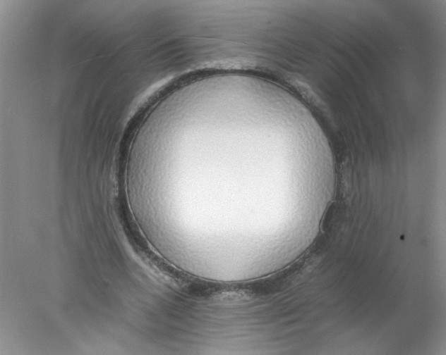 X0000078020536200611251532