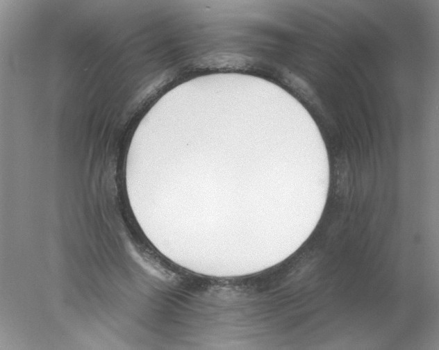 X0000078020538200611251532