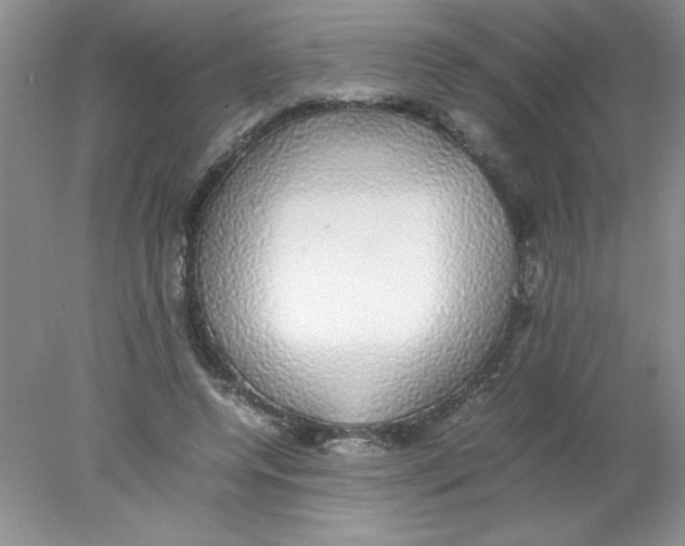 X0000078020544200611251532