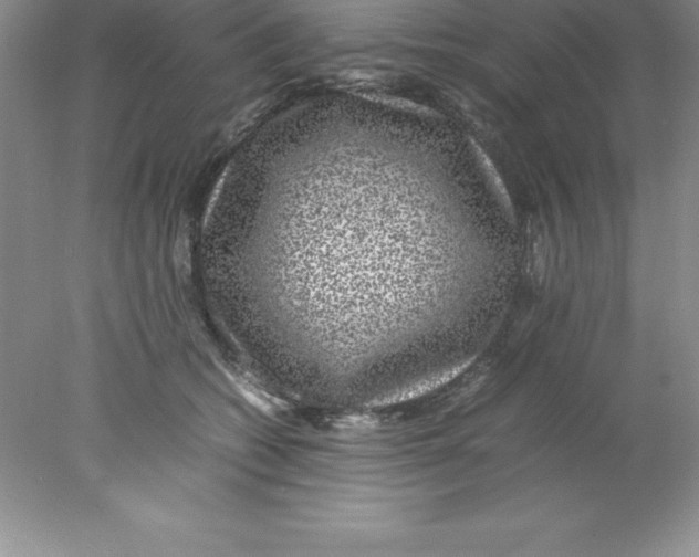 X0000078020562200611251532