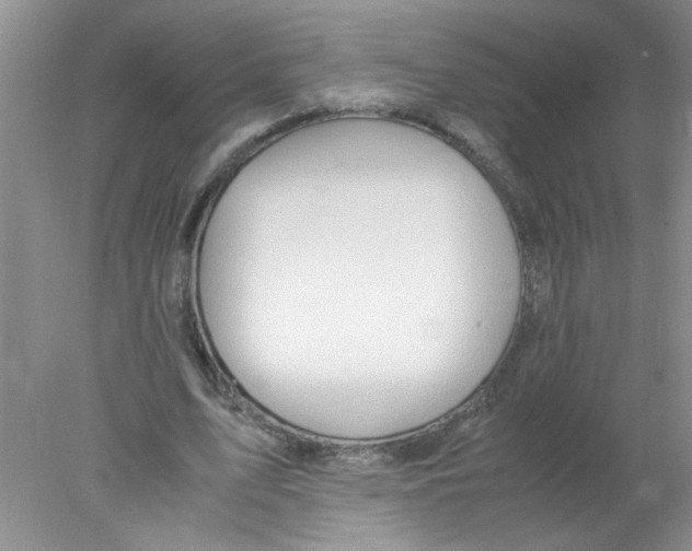 X0000078020583200611251532