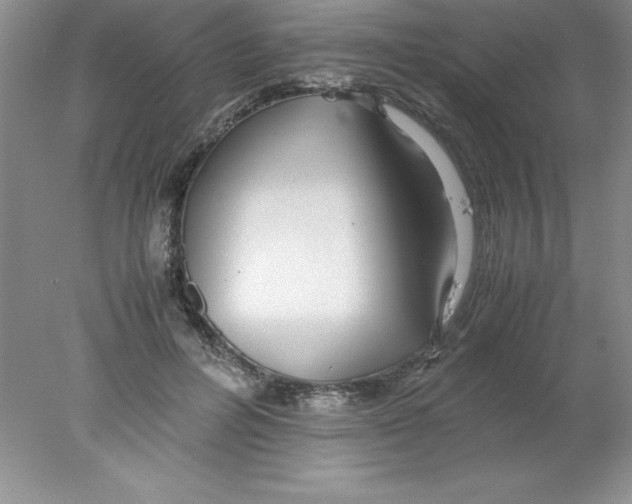X0000078020600200611251532
