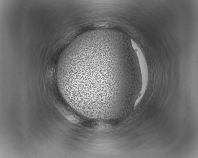 X0000078020601200611251532