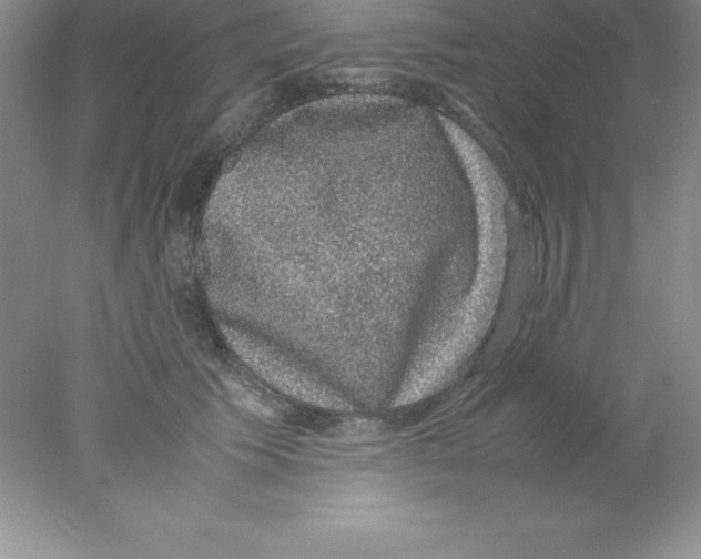 X0000078020609200611251531