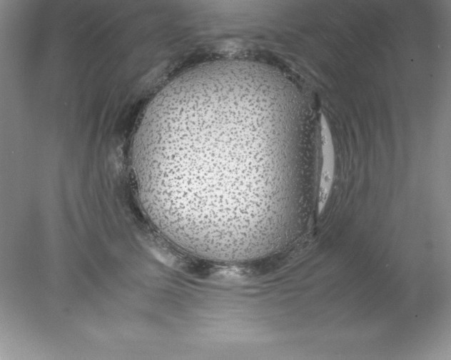 X0000078020611200611251531