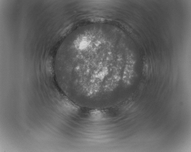 X0000078020616200611251531