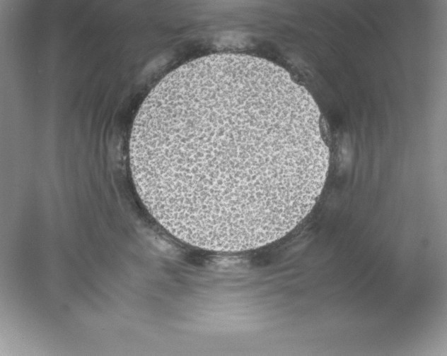 X0000078020619200611251531
