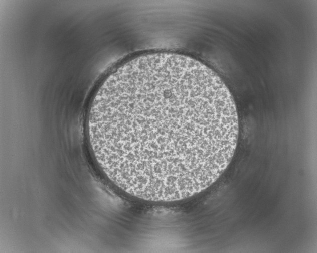 X0000078020632200611251530