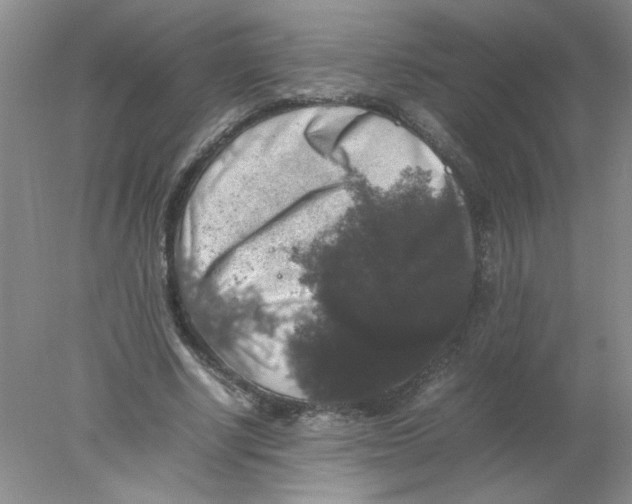 X0000078020634200611251530