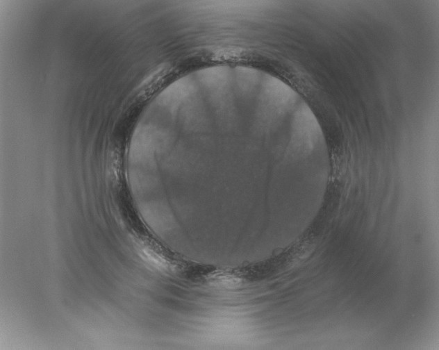 X0000078020648200611251531