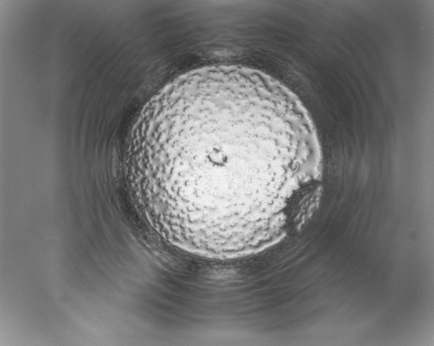 X0000078020651200611251531