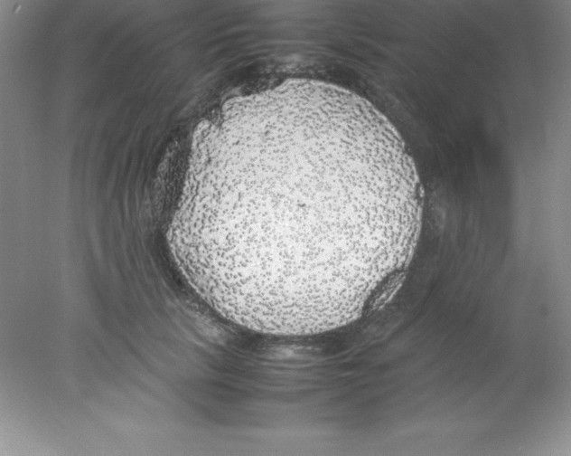 X0000078020657200611251531
