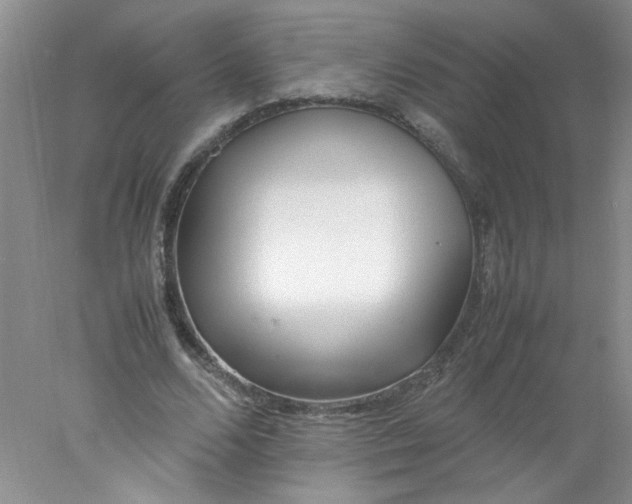 X0000078020680200611251530