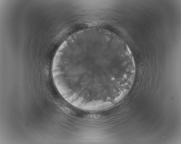 X0000078020691200611251530