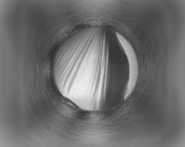 X0000078020697200611251530