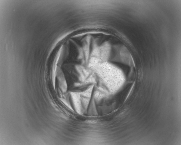 X0000078020724200611251529