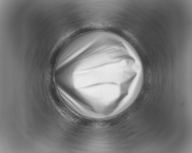 X0000078020736200611251529
