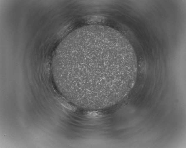 X0000078020753200611251529