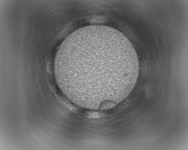 X0000078020755200611251529