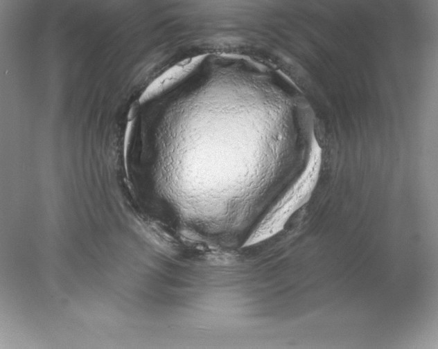 X0000078020762200611251529