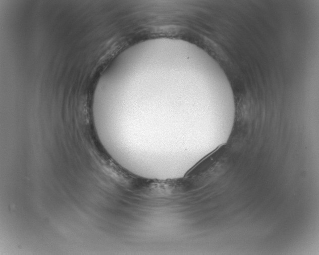 X0000078020764200611251529
