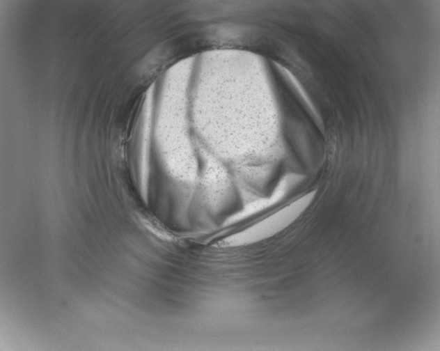 X0000078020766200611251529