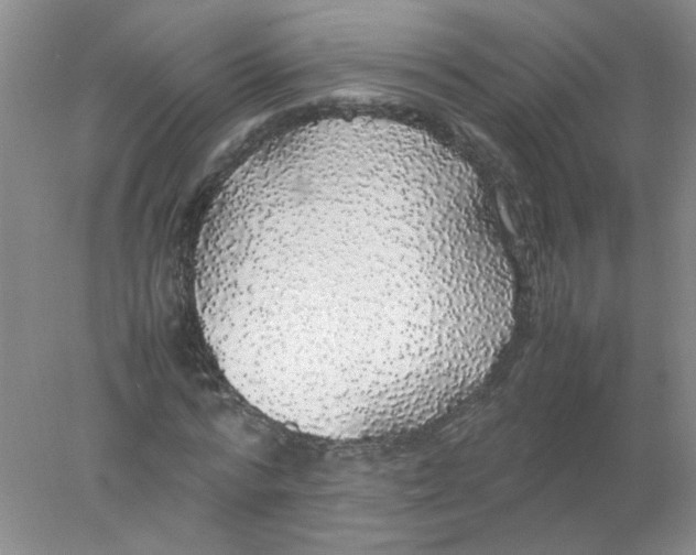 X0000078020776200611251529