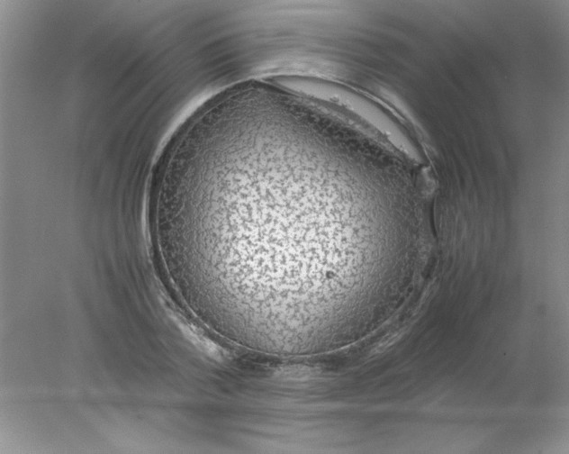 X0000078020788200611251528
