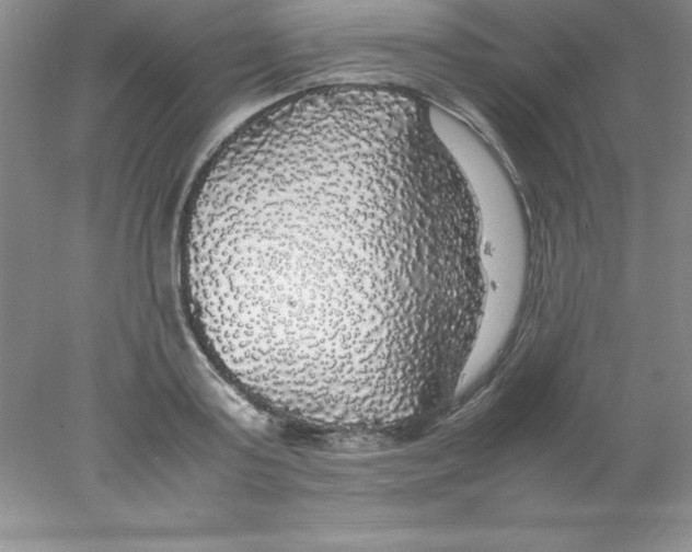 X0000078020795200611251528