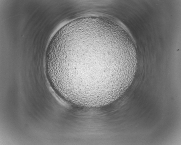 X0000078020811200611251528