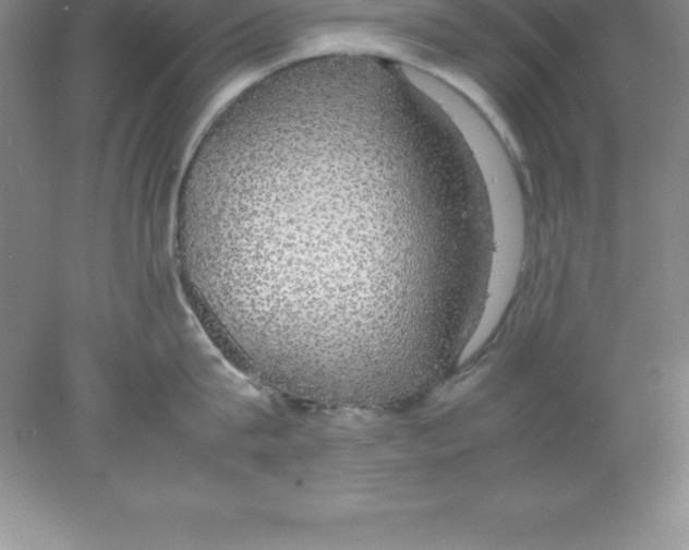 X0000078020815200611251528
