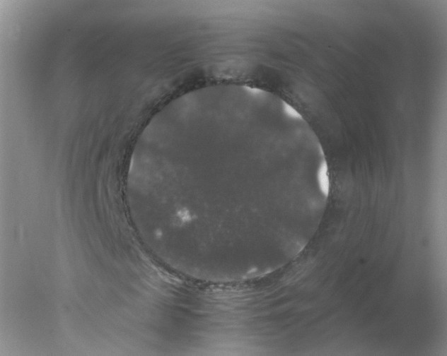 X0000078020817200611251527